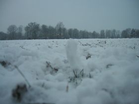 KIF_1369.JPG