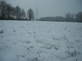 KIF_1374.JPG