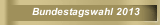 Bundestagswahl 2013