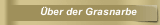 Über der Grasnarbe